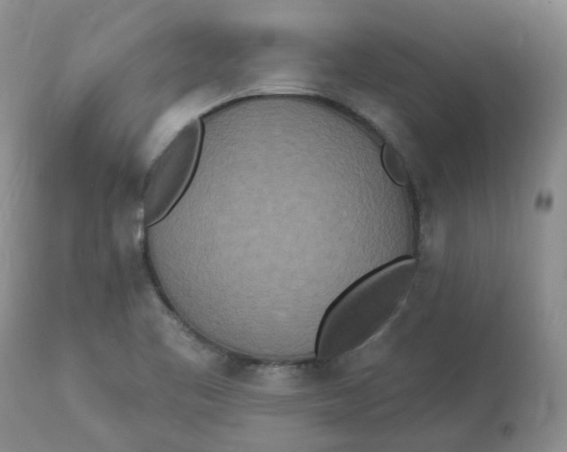 X0000112821461200909111311