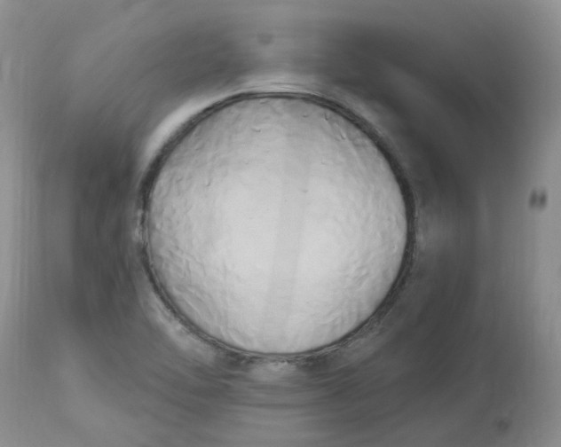 X0000112821462200909111311