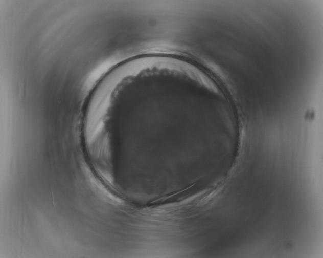 X0000112821463200909111311