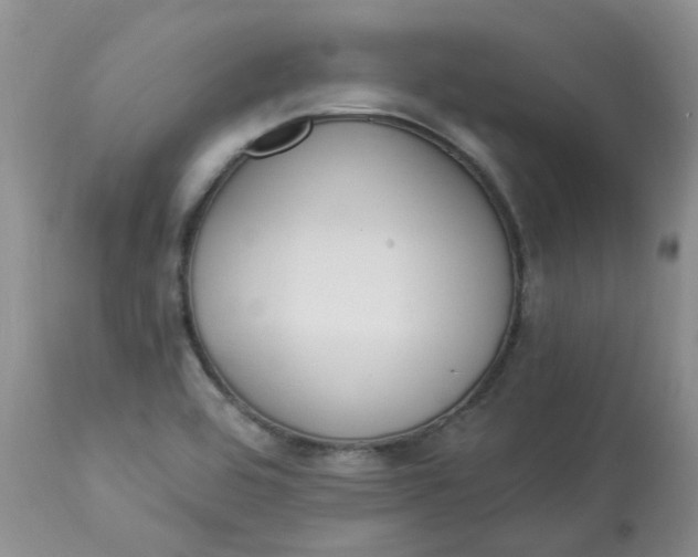 X0000112821464200909111311