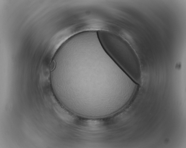 X0000112821465200909111311