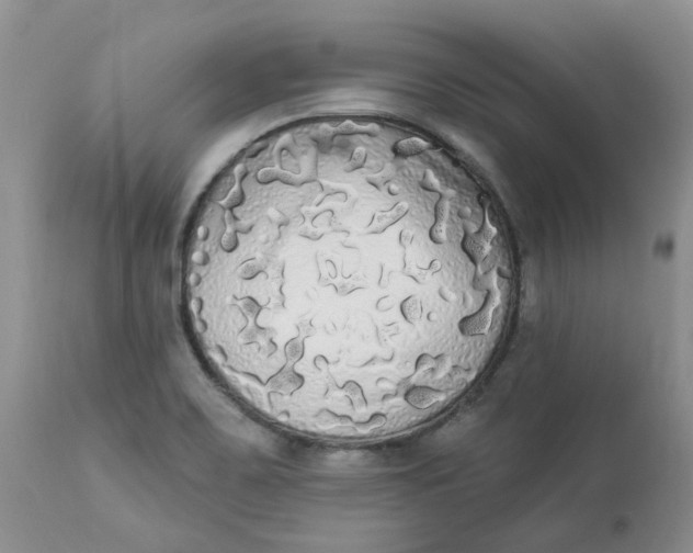 X0000112821467200909111311