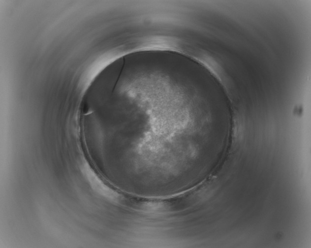 X0000112821468200909111311