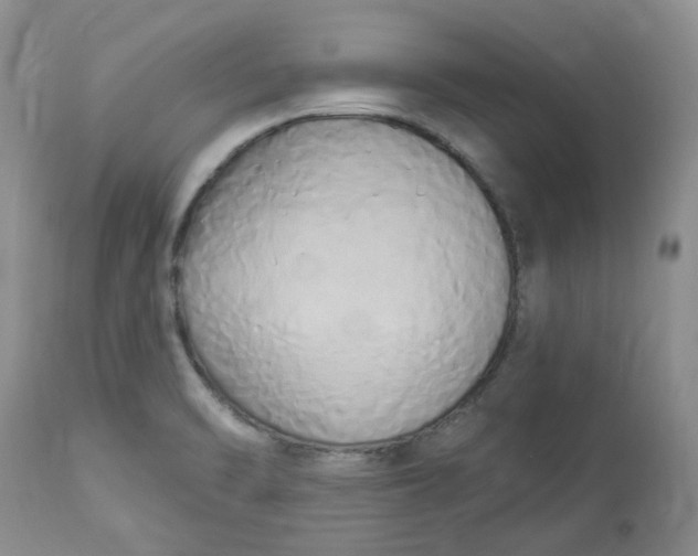 X0000112821470200909111311