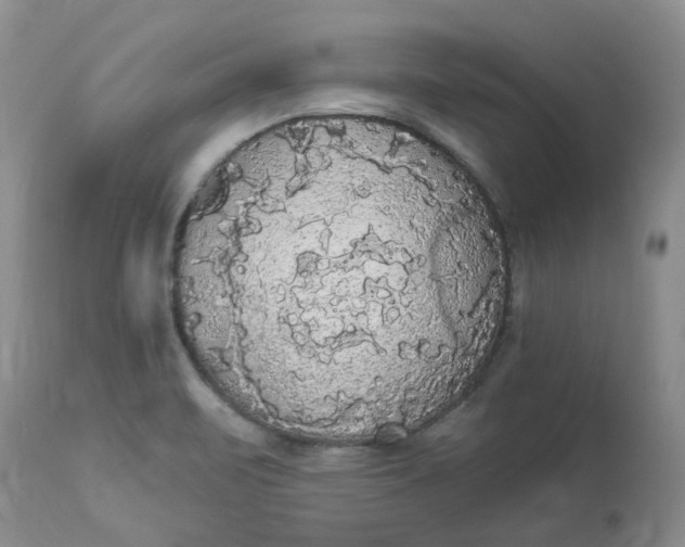 X0000112821471200909111311