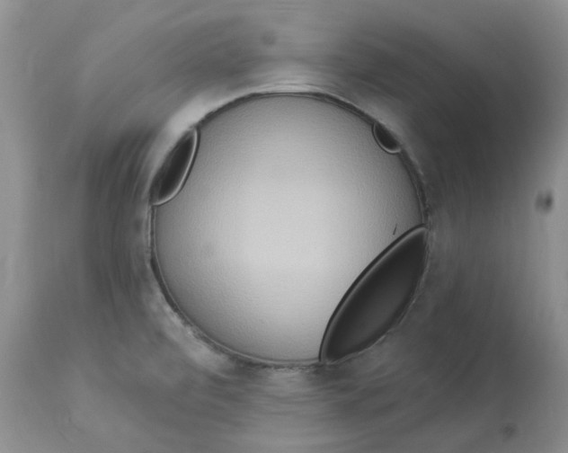 X0000112821472200909111311