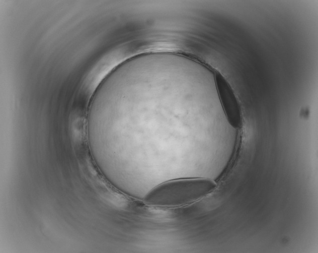 X0000112821473200909111311