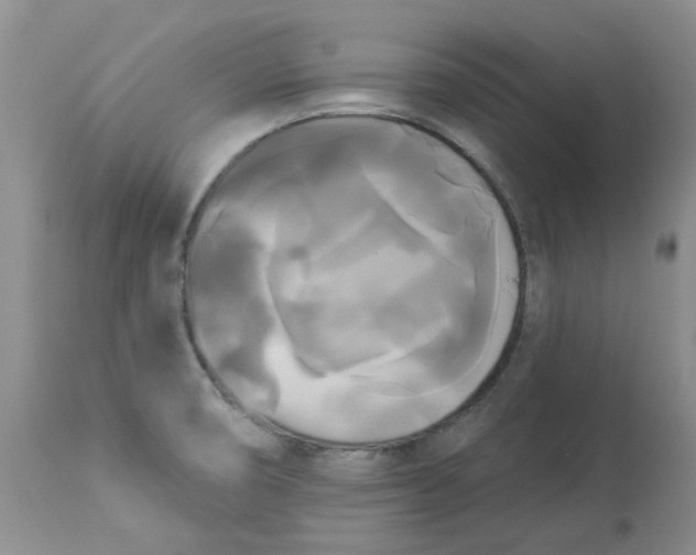 X0000112821474200909111311