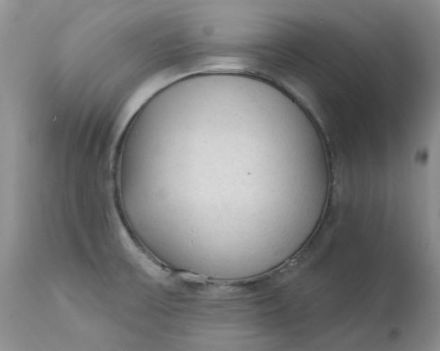 X0000112821475200909111311