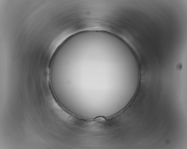 X0000112821476200909111311