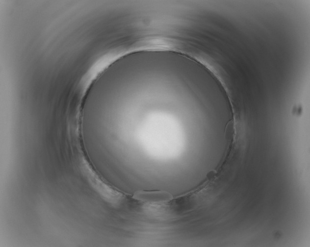 X0000112821477200909111311