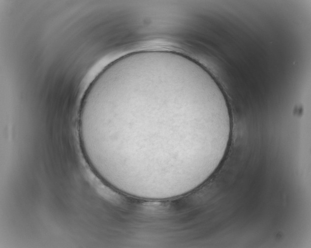 X0000112821478200909111311