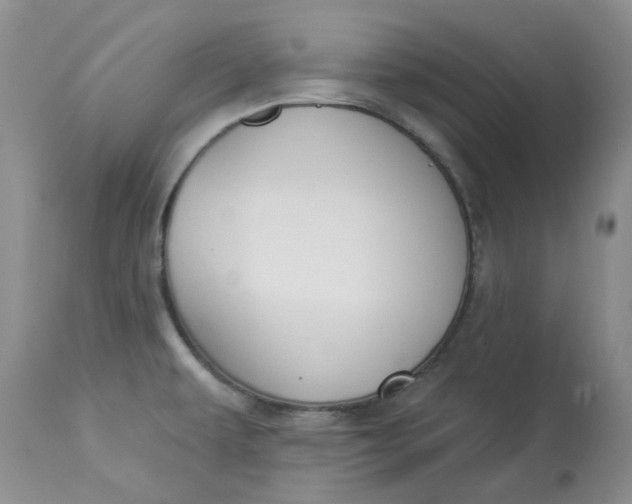 X0000112821479200909111311