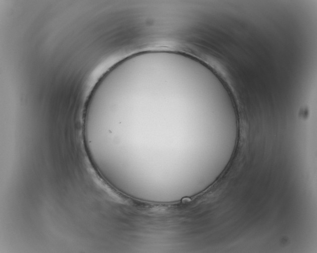 X0000112821480200909111311