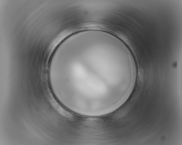 X0000112821482200909111311