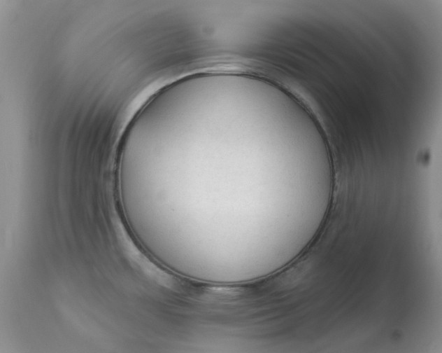 X0000112821483200909111311