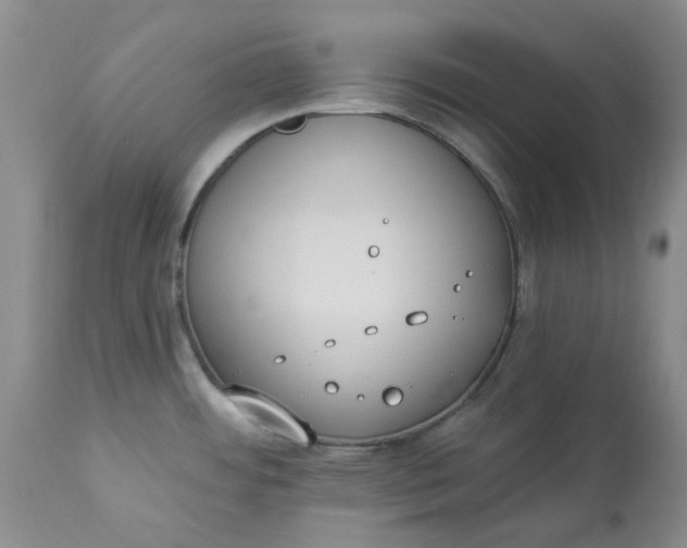 X0000112821484200909111311