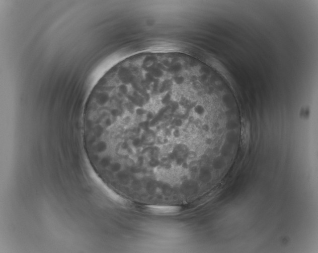 X0000112821487200909111311