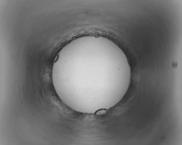 X0000112821490200909111310