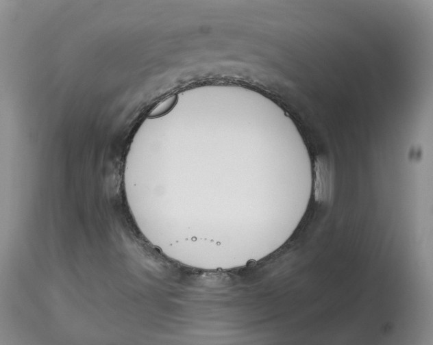 X0000112821491200909111310