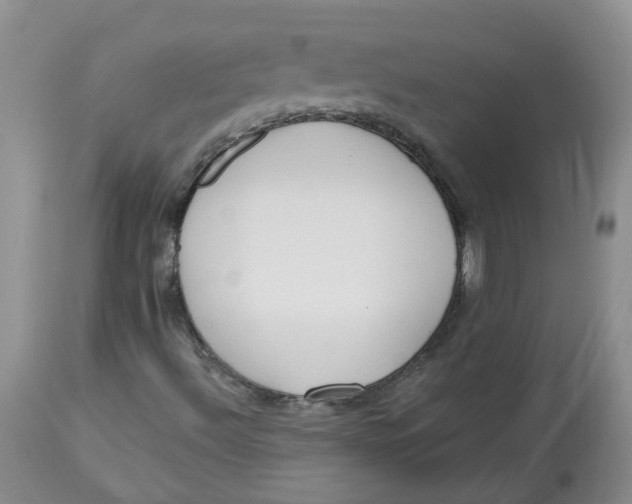 X0000112821492200909111310