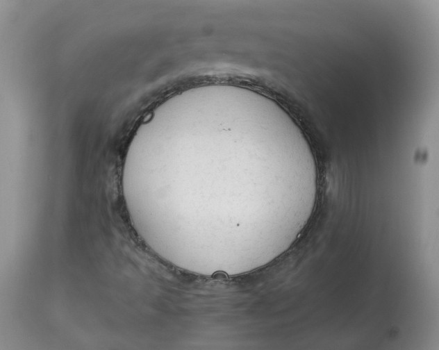 X0000112821493200909111310