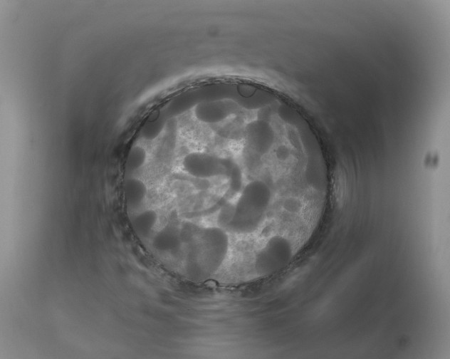 X0000112821494200909111310