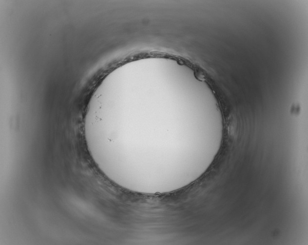 X0000112821495200909111310