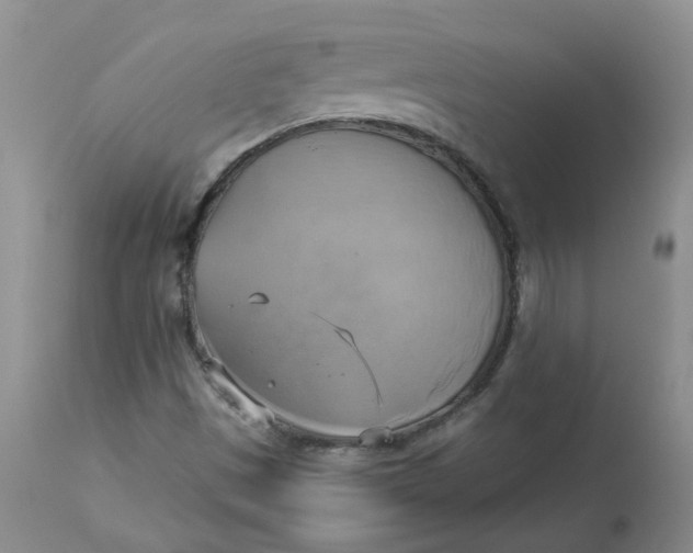 X0000112821497200909111310