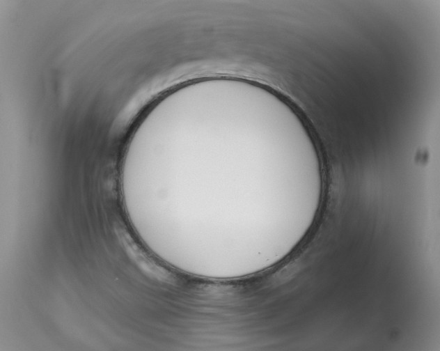 X0000112821499200909111310