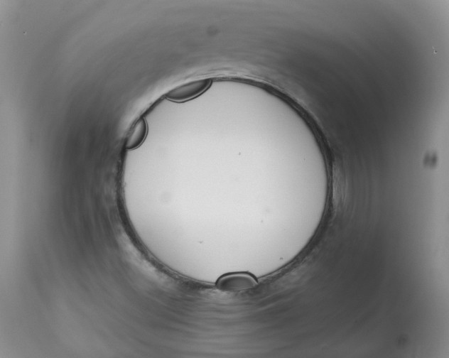 X0000112821500200909111310