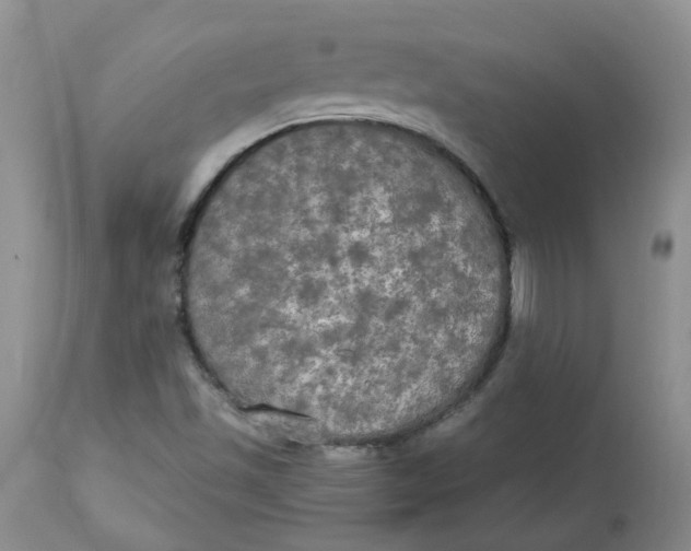 X0000112821501200909111310