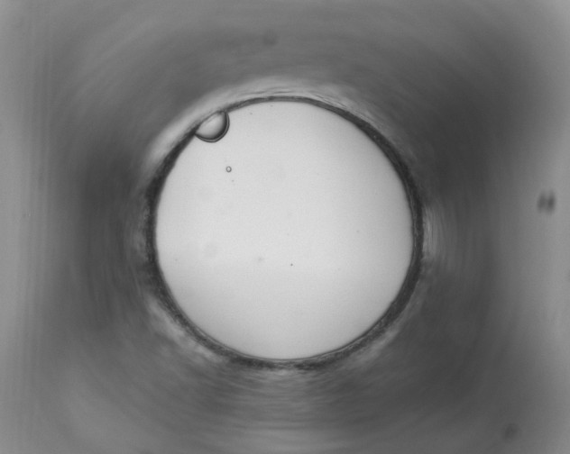 X0000112821502200909111310