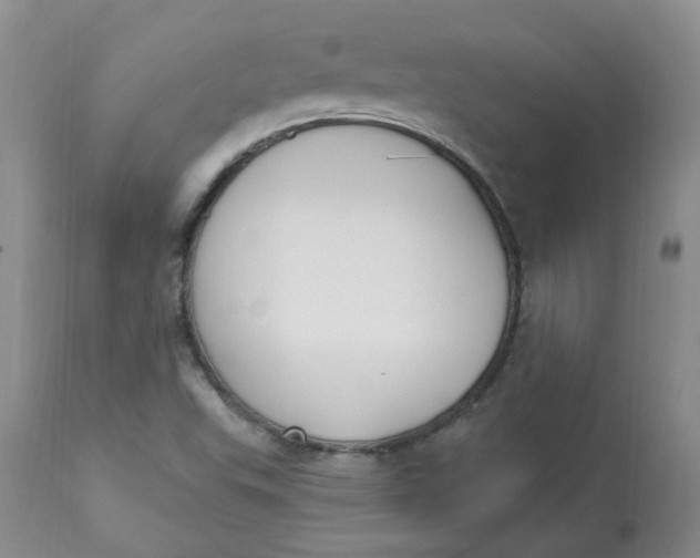 X0000112821503200909111310