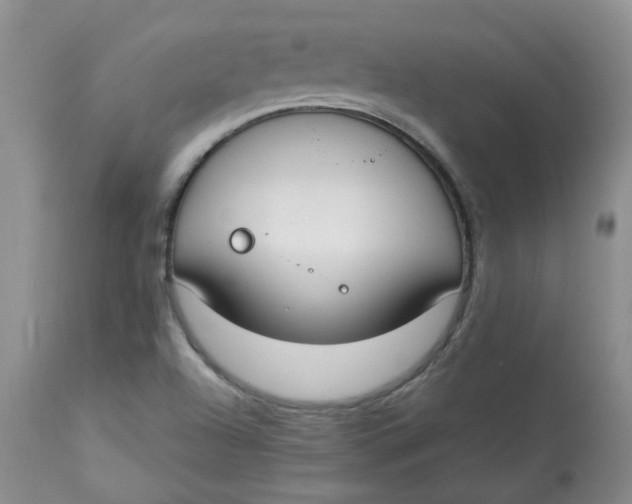 X0000112821504200909111310