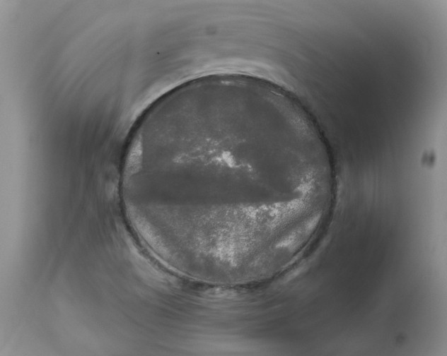 X0000112821505200909111310