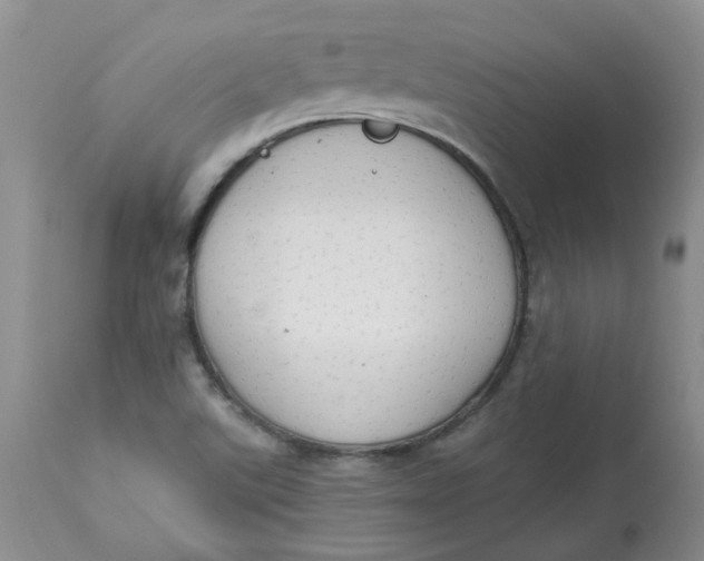 X0000112821507200909111310