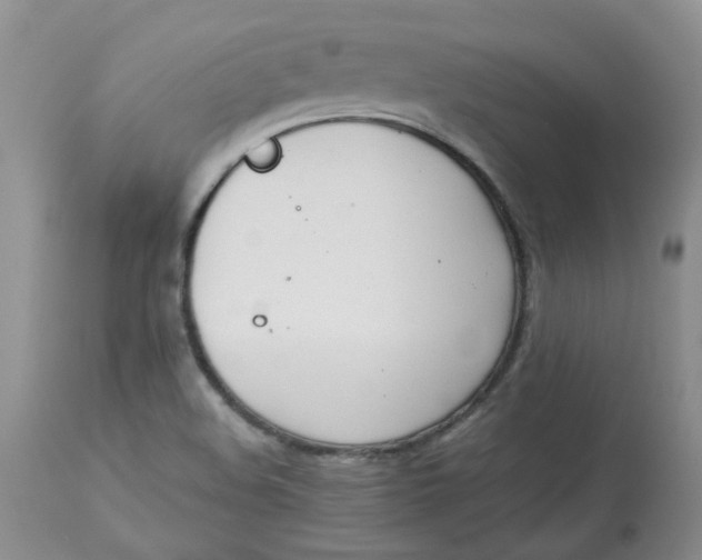 X0000112821508200909111310