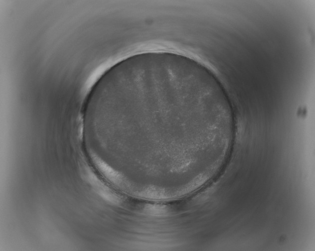 X0000112821509200909111310