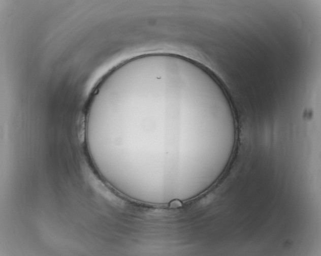 X0000112821510200909111310