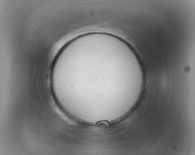 X0000112821511200909111310