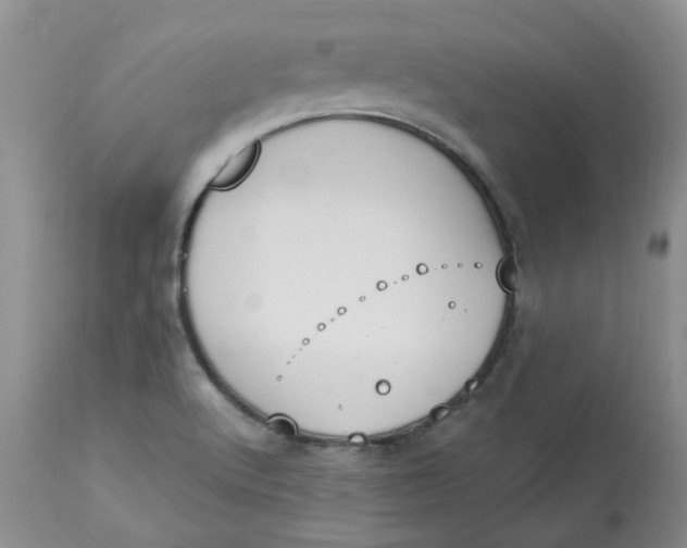 X0000112821512200909111310