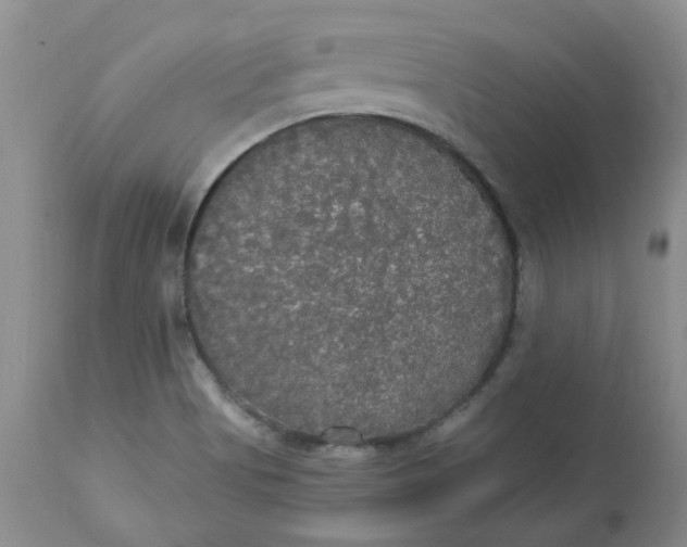 X0000112821513200909111310