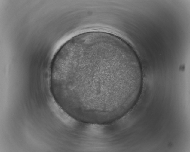 X0000112821514200909111310