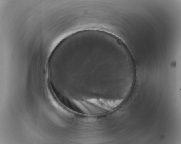 X0000112821515200909111310