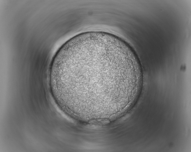 X0000112821517200909111310