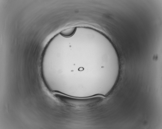 X0000112821518200909111310