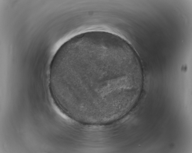 X0000112821519200909111310