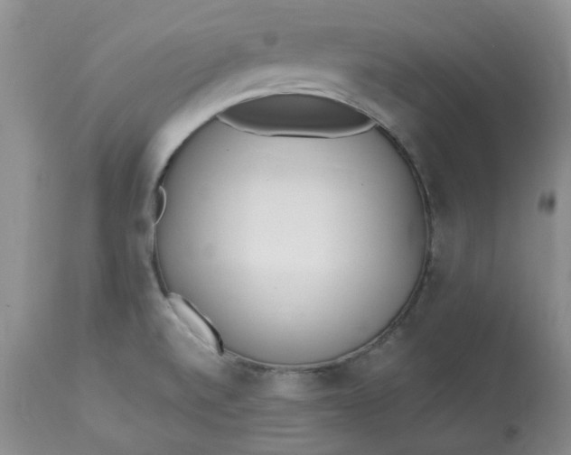 X0000112821520200909111310