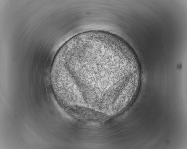 X0000112821521200909111310